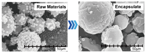 MR Application Example - Microencapsulation