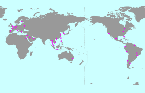 Overseas Network